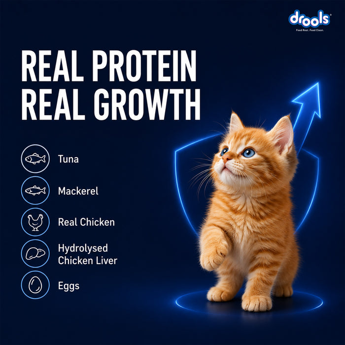 Drools Ocean Fish Mousse Kitten Food for Cat