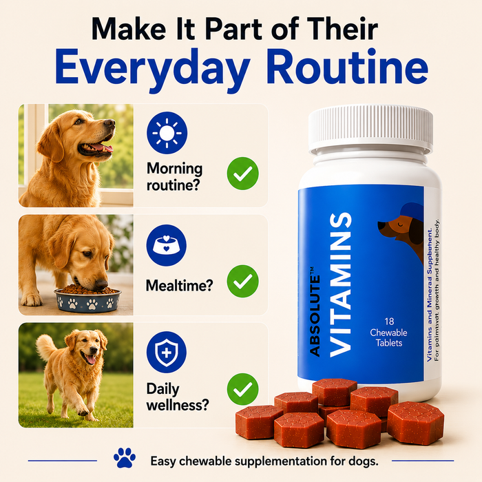 Drools Absolute Vitamin Tablet for Dogs