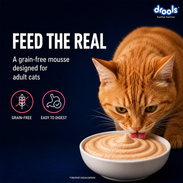 Drools Salmon Mousse Food for Cat