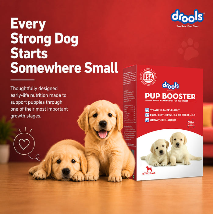 Drools Pup Booster Puppy Weaning Diet for Dog