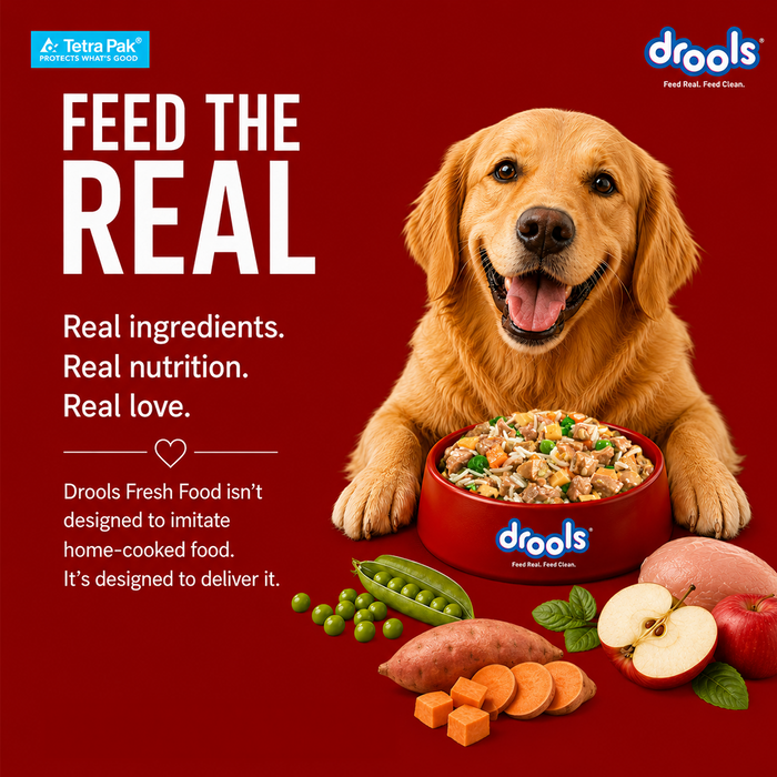 Drools Tetra Pack Real Chicken Biryani Food for Dog