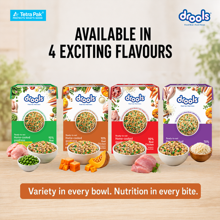 Drools Tetra Pack Real Chicken and Pumpkin Food for Dog