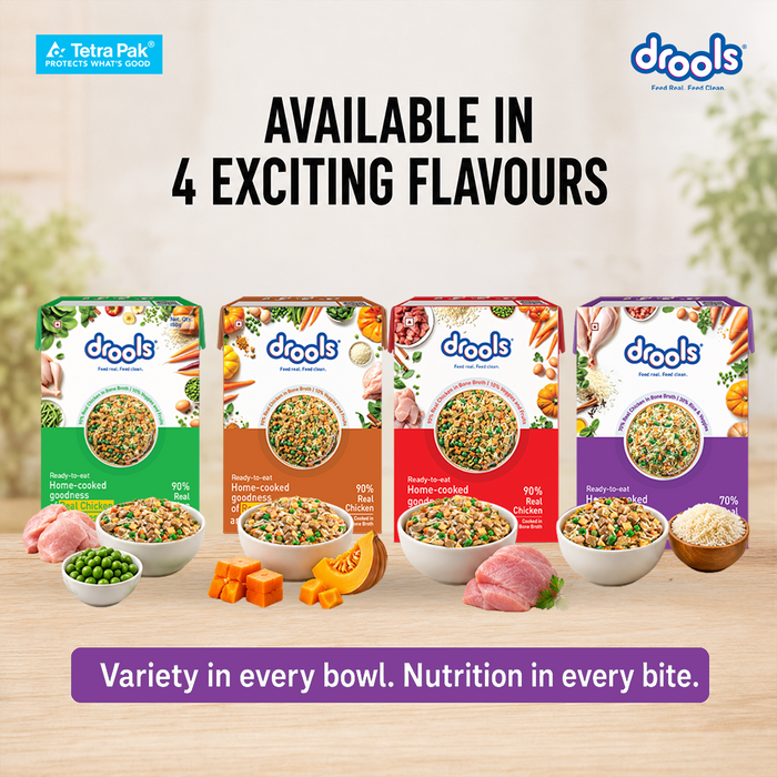 Drools Tetra Pack Real Chicken Biryani Food for Dog