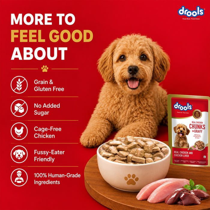 Drools Real Chicken and Liver Chunks in Gravy Adult Food for Dog