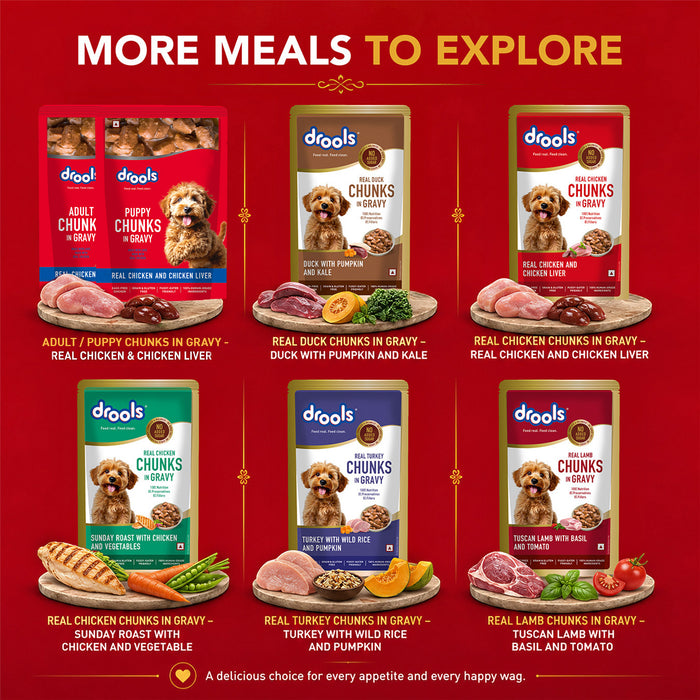 Drools Real Chicken and Liver Chunks in Gravy Adult Food for Dog