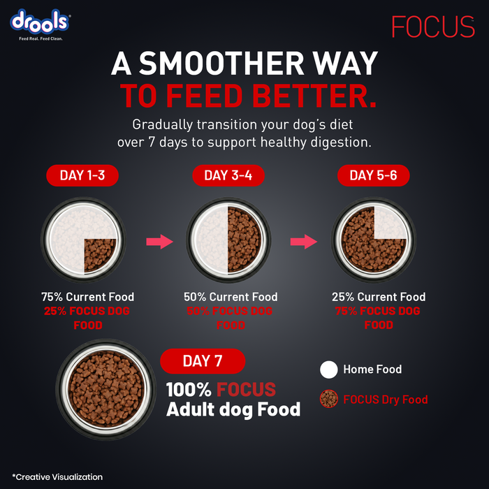 Drools Focus Adult Super Premium Chicken Food for Dog