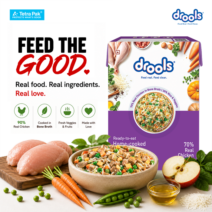 Drools Tetra Pack Real Chicken Biryani Food for Dog