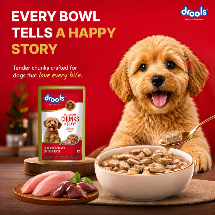 Drools Real Chicken and Liver Chunks in Gravy Adult Food for Dog