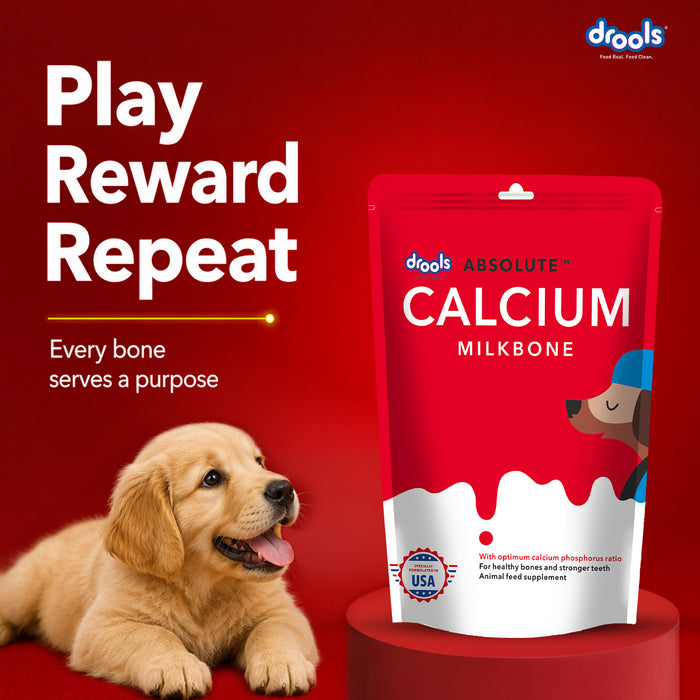 Drools Absolute Calcium Milk Bone Treats for Dog