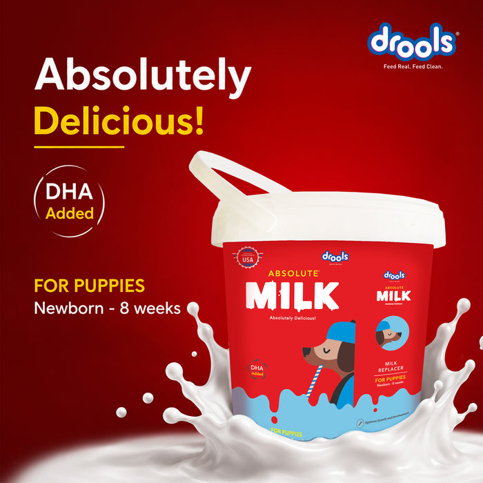Drools Absolute Newborn Puppy Milk for Dog