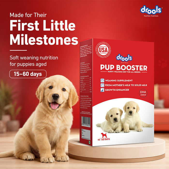 Drools Pup Booster Puppy Weaning Diet for Dog