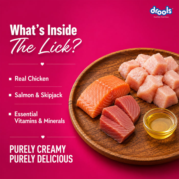 Drools Creamy Salmon & Skipjack Sticks Treats for Cat