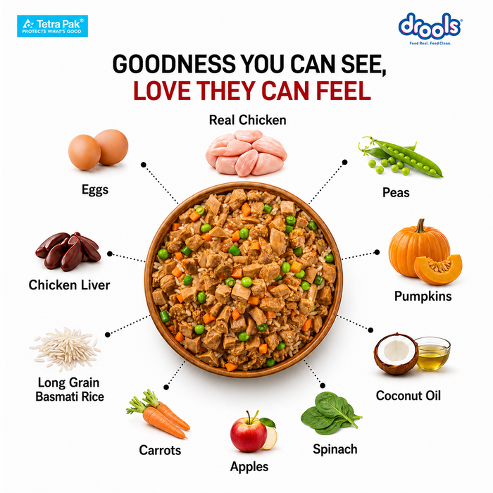 Drools Tetra Pack Real Chicken and Pumpkin Food for Dog