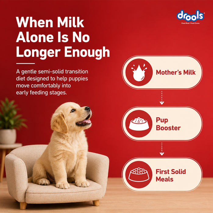 Drools Pup Booster Puppy Weaning Diet for Dog