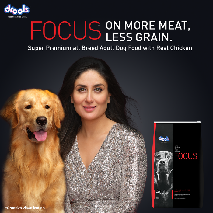 Drools Focus Adult Super Premium Chicken Food for Dog