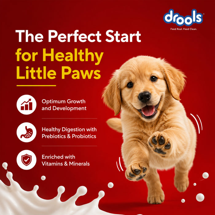 Drools Absolute Newborn Puppy Milk for Dog