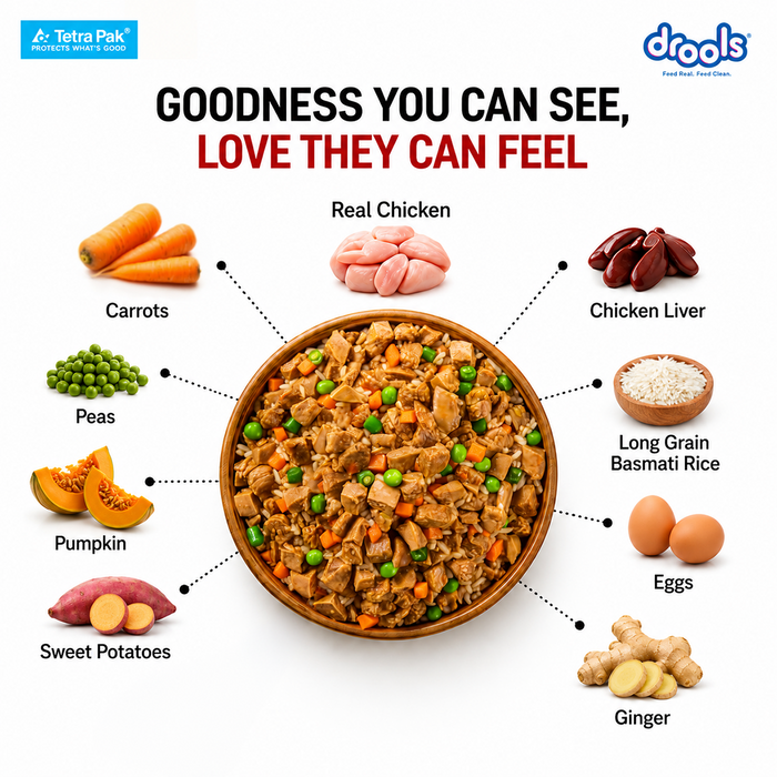 Drools Tetra Pack Real Chicken Biryani Food for Dog