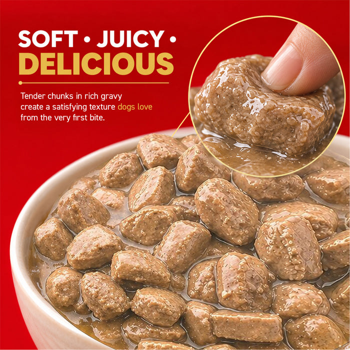 Drools Real Chicken and Liver Chunks in Gravy Adult Food for Dog