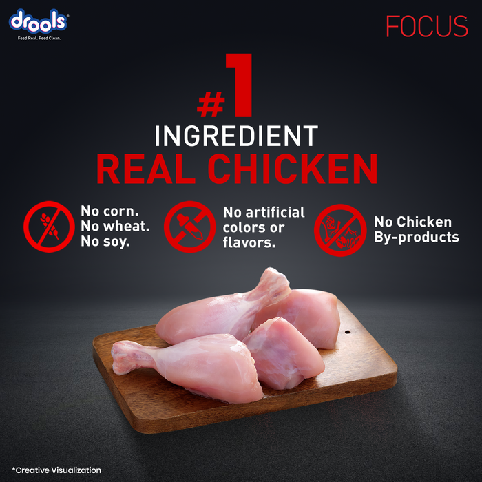 Drools Focus Adult Super Premium Chicken Food for Dog