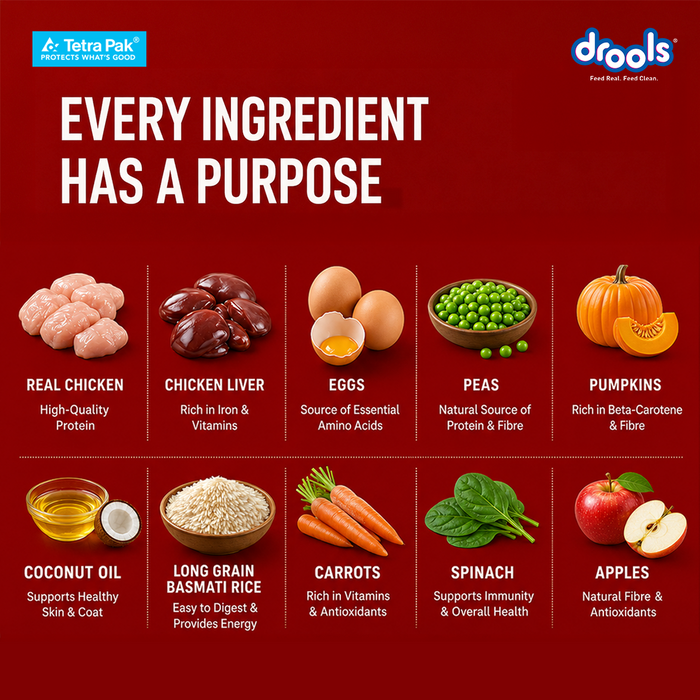 Drools Tetra Pack Real Chicken and Pumpkin Food for Dog