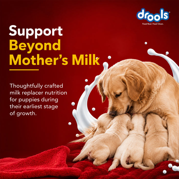 Drools Absolute Newborn Puppy Milk for Dog