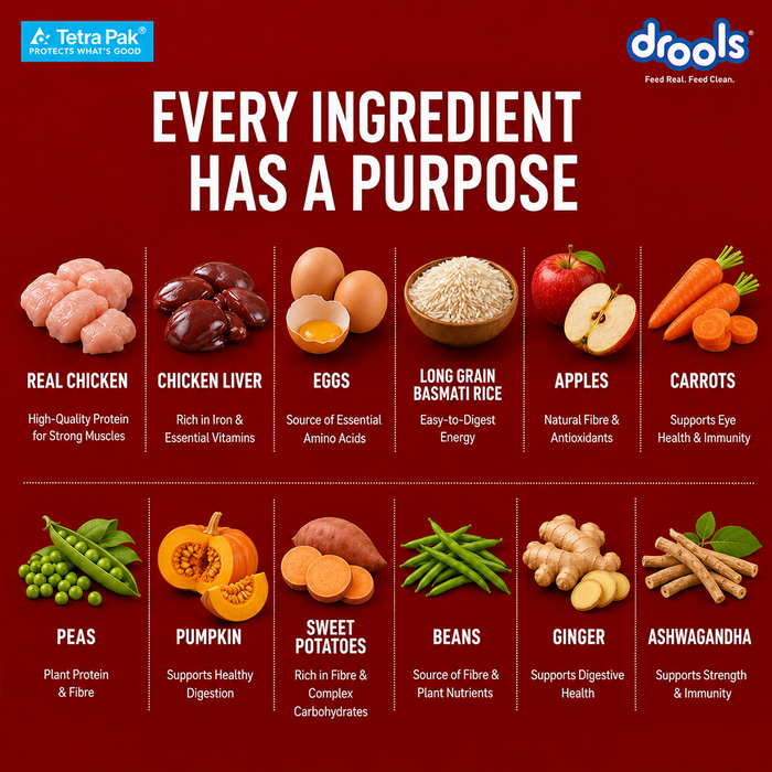 Drools Tetra Pack Real Chicken Biryani Food for Dog