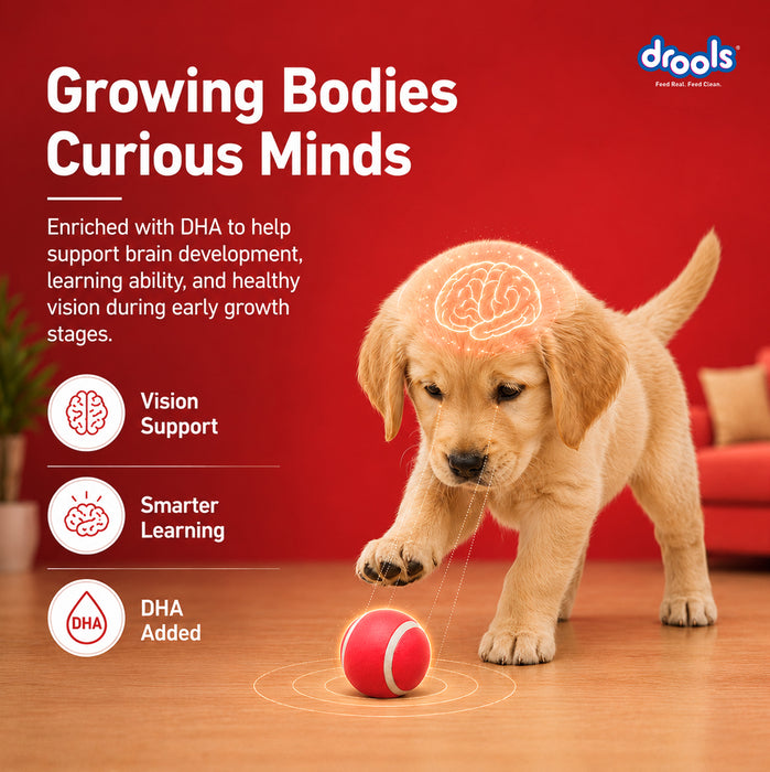 Drools Pup Booster Puppy Weaning Diet for Dog