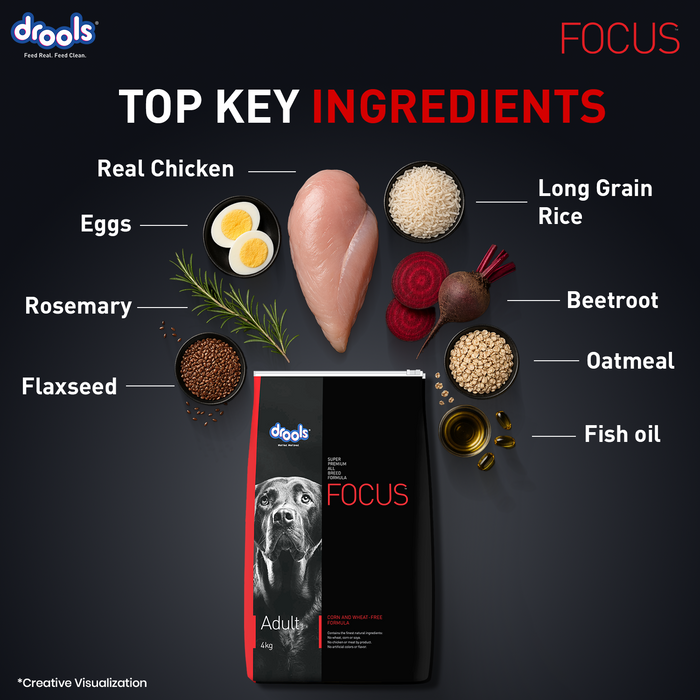 Drools Focus Adult Super Premium Chicken Food for Dog