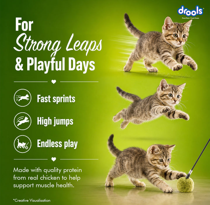 Drools Creamy Crab & Chicken Sticks Treats for Cat