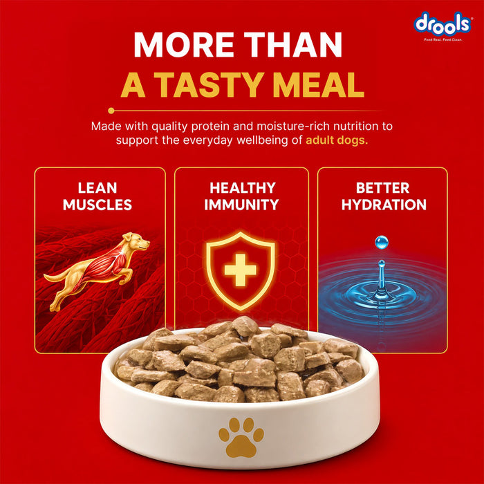 Drools Real Chicken and Liver Chunks in Gravy Adult Food for Dog