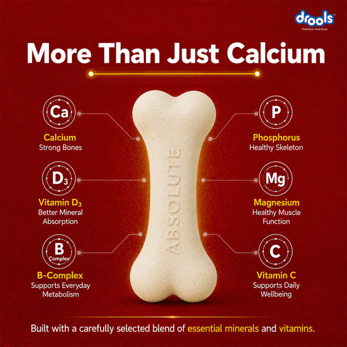 Drools Absolute Calcium Milk Bone Treats for Dog