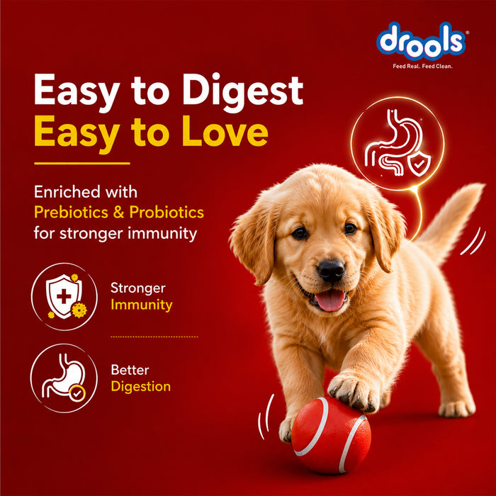 Drools Absolute Newborn Puppy Milk for Dog
