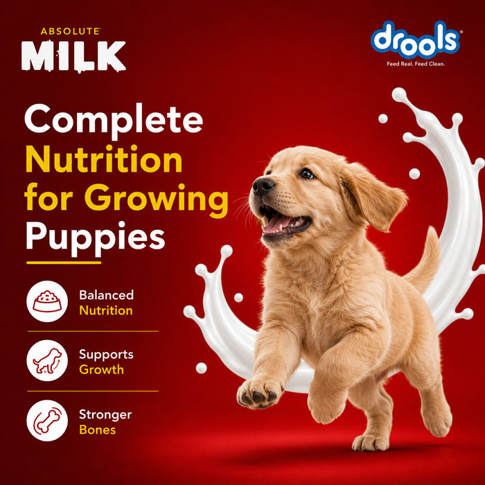 Drools Absolute Newborn Puppy Milk for Dog