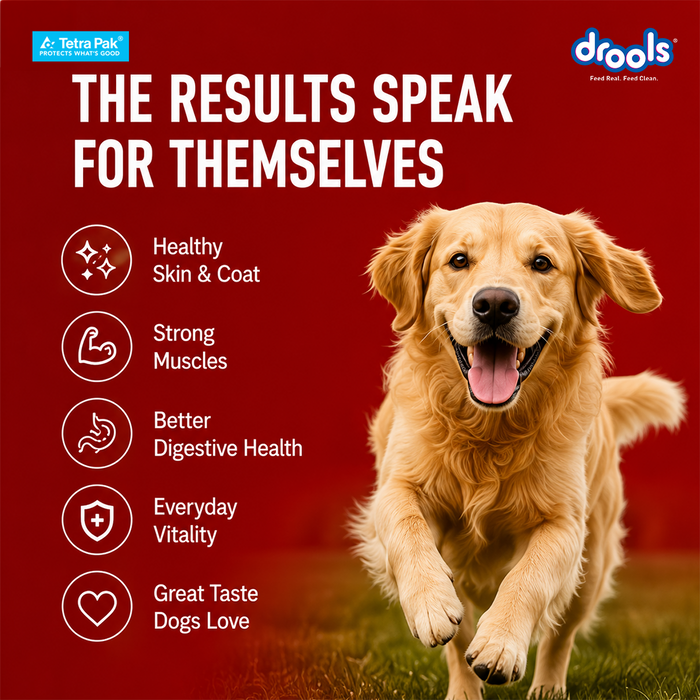 Drools Tetra Pack Real Chicken and Pumpkin Food for Dog