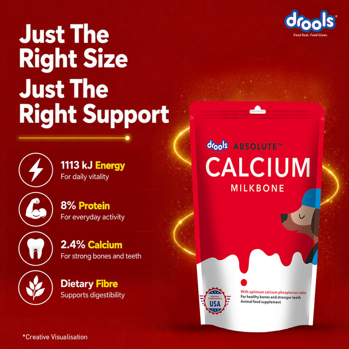 Drools Absolute Calcium Bone Pouch Treats for Dog