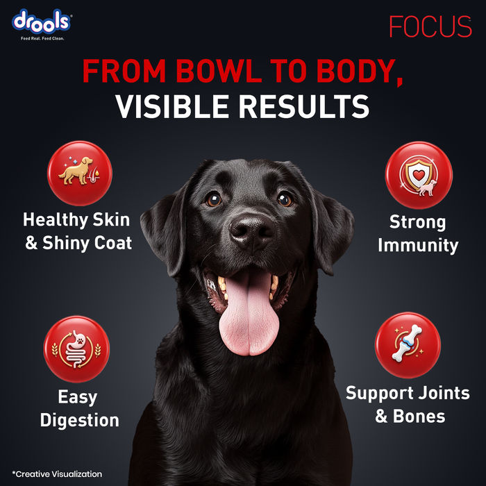 Drools Focus Adult Super Premium Chicken Food for Dog
