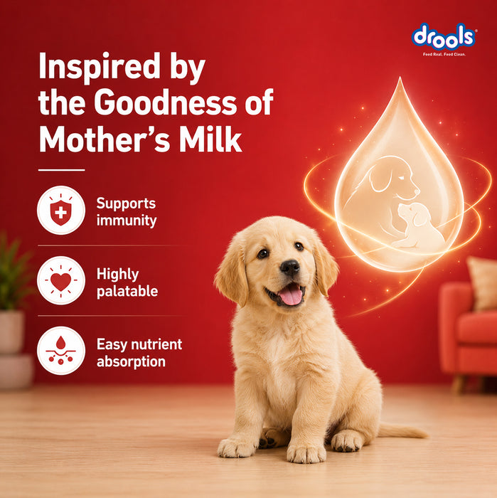 Drools Pup Booster Puppy Weaning Diet for Dog