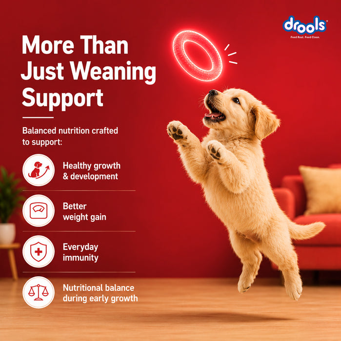 Drools Pup Booster Puppy Weaning Diet for Dog