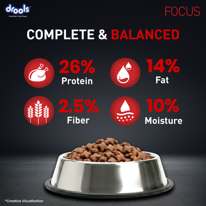Drools Focus Adult Super Premium Chicken Food for Dog