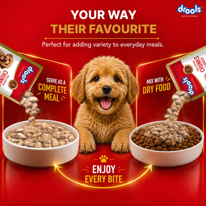 Drools Real Chicken and Liver Chunks in Gravy Adult Food for Dog