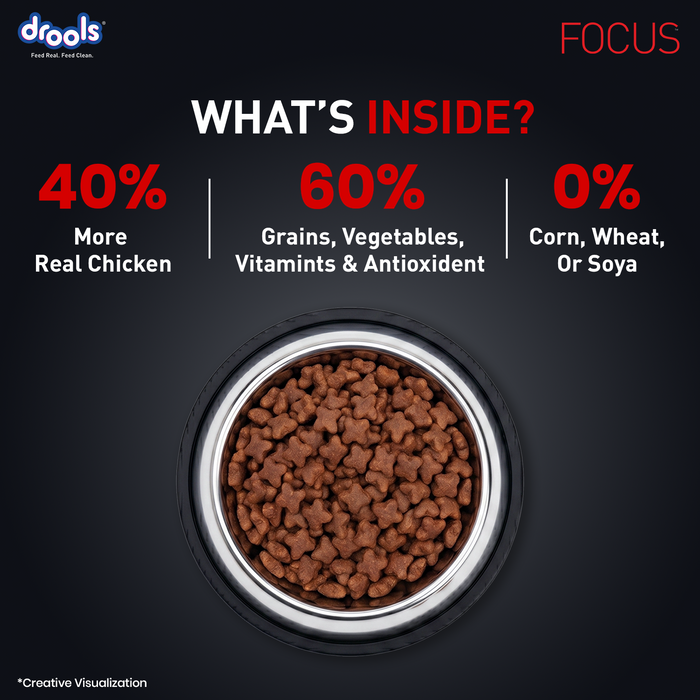 Drools Focus Adult Super Premium Chicken Food for Dog