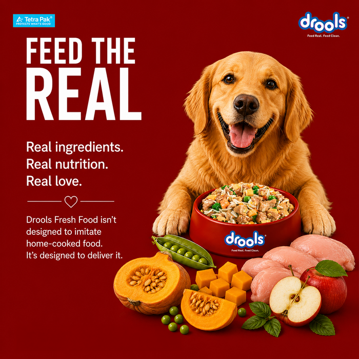 Drools Tetra Pack Real Chicken and Pumpkin Food for Dog