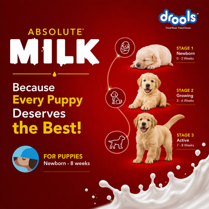 Drools Absolute Newborn Puppy Milk for Dog