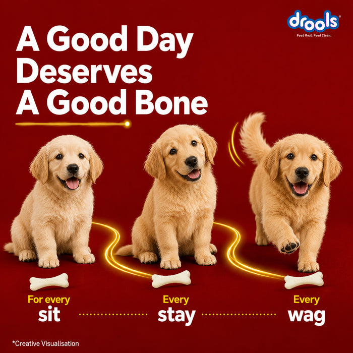 Drools Absolute Calcium Bone Pouch Treats for Dog