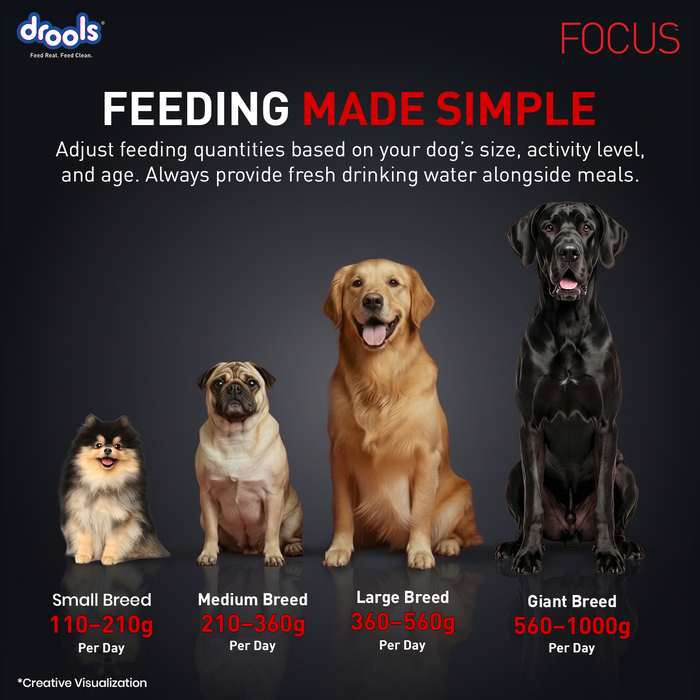 Drools Focus Adult Super Premium Chicken Food for Dog