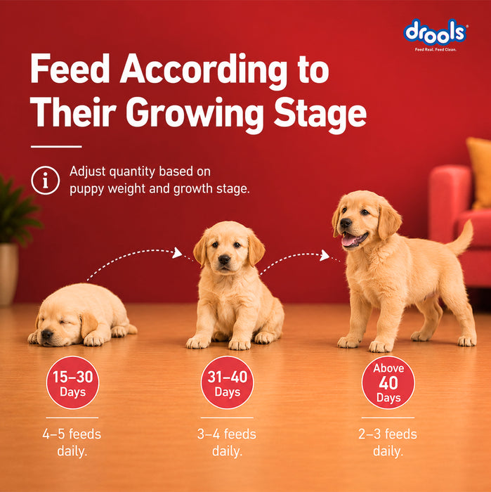 Drools Pup Booster Puppy Weaning Diet for Dog
