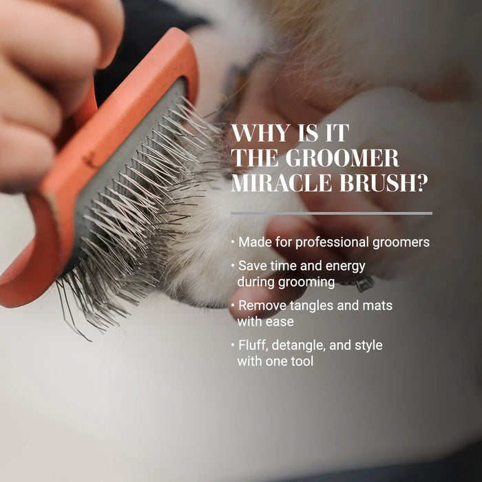 Chris Christensen Big G Slicker Brushes for Dog