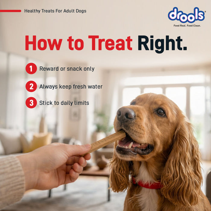 Drools Chicken Sticks Treats for Dog