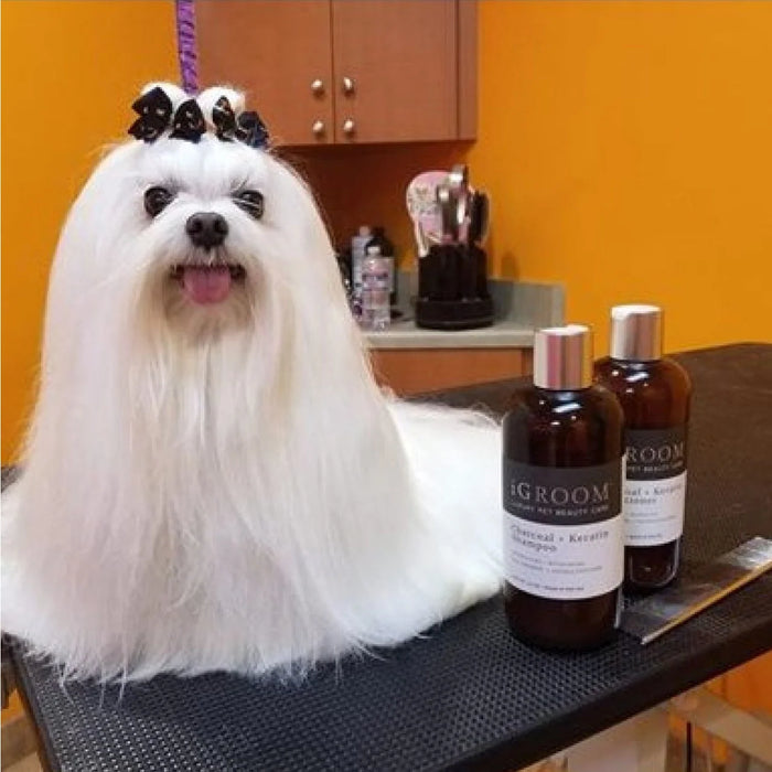 iGroom Charcoal + Keratin Pet Shampoo