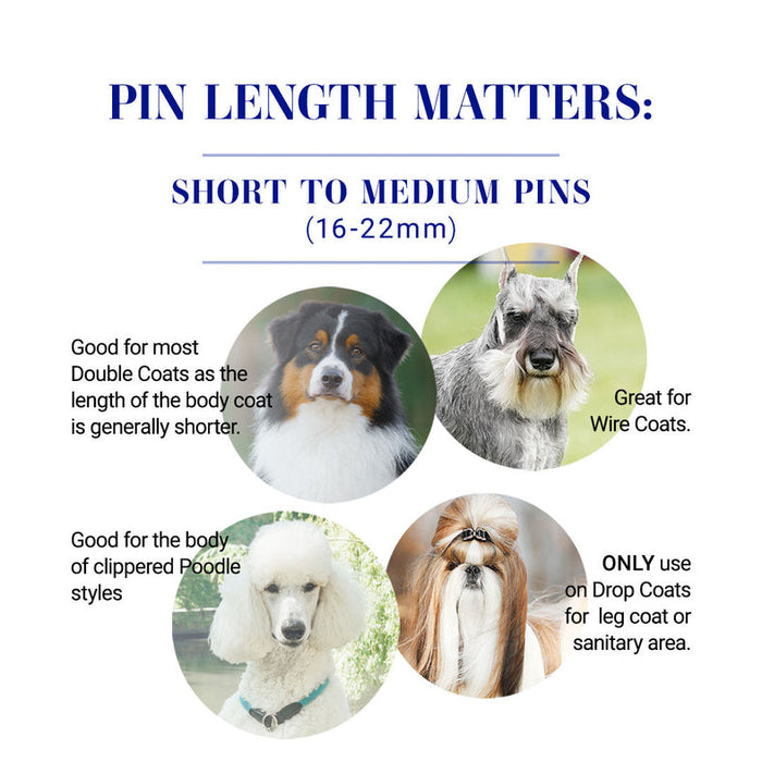 Chris Christensen Gold Series Oval Pin Brushes for Dog